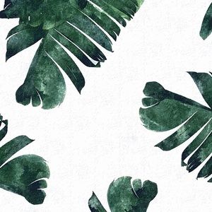 Meet your Posher, Maritza